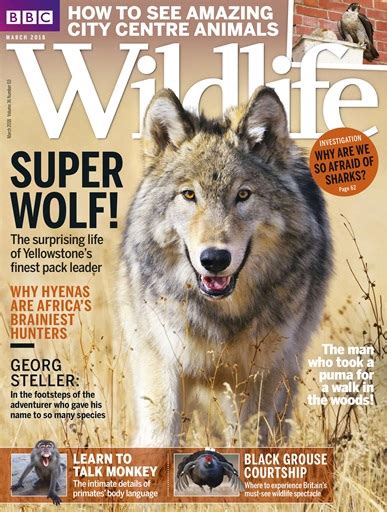 BBC Wildlife Magazine - March 2018 Subscriptions | Pocketmags