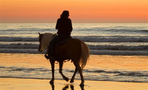 Horseback Riding Tours Near Me