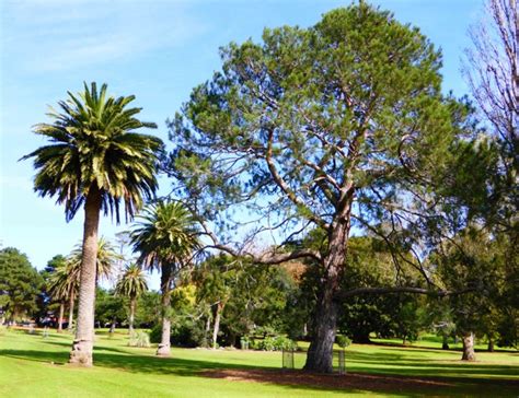 Photo Galleries - Warrnambool Botanic Gardens