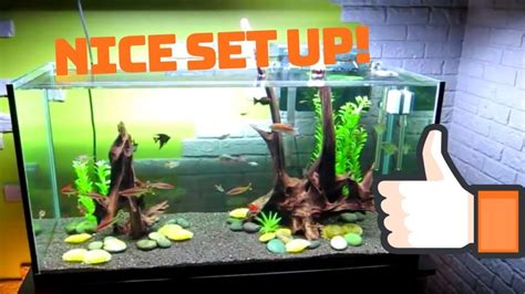 Best Comprehensive Guide To Set Up A 90 Gallon Fish Tank - Fishxperts