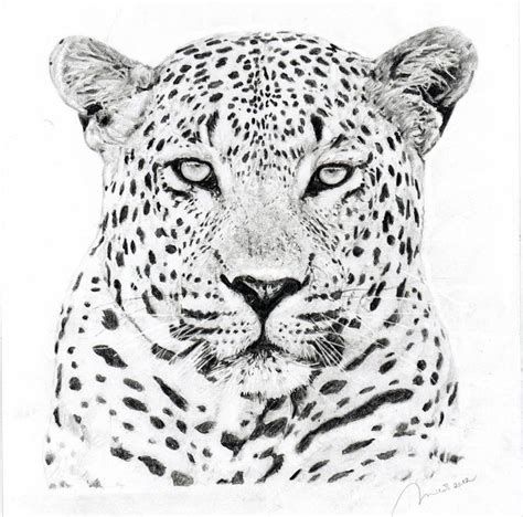 LEOPRAD by Portretforyou on DeviantArt | Leopard art, Leopard tattoos ...