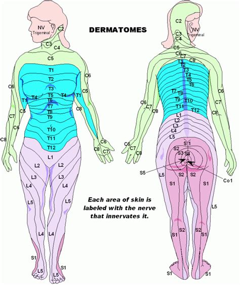 Pain in the butt?