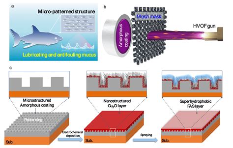 (a) A carton picture showing the micropatterned surface of shark skin,... | Download Scientific ...