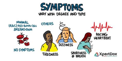 Pin on Diseases & Disorders - Infographics