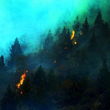 Chile on red alert as massive wildfires raze 1,000-year-old forests in ...