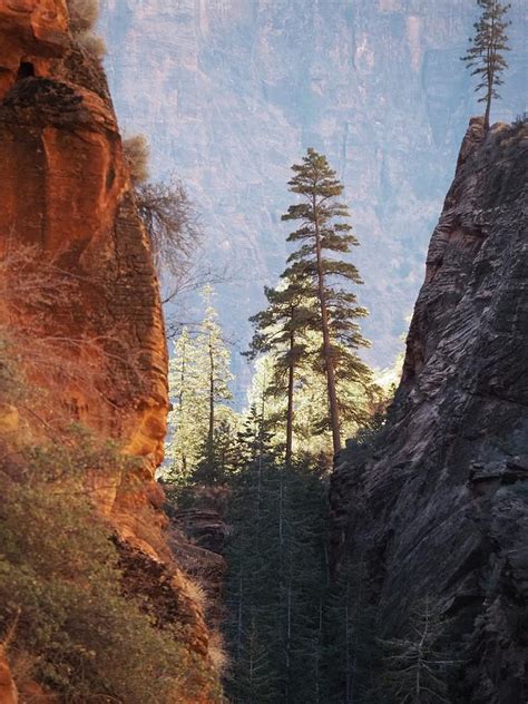 Zion Canyon View Photograph by Beth McAlister - Fine Art America