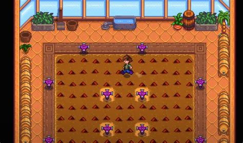 Rare Seed Stardew Valley Guide - SDew HQ