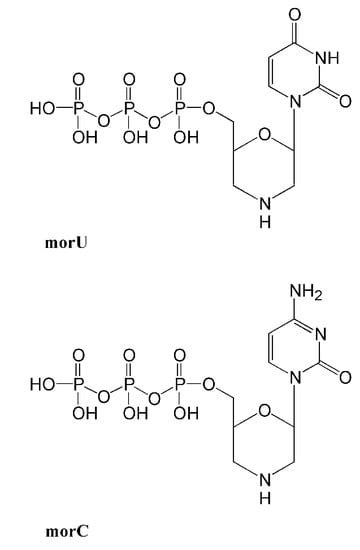 Molecules | Special Issue : Nucleoside Analogues