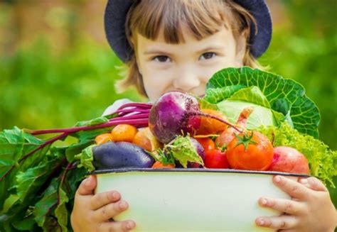 Kids Eating Healthy Food