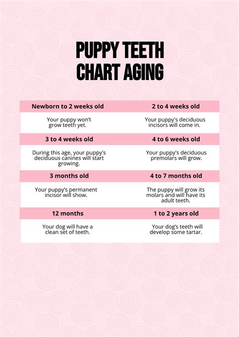 Dog Teeth Age Chart