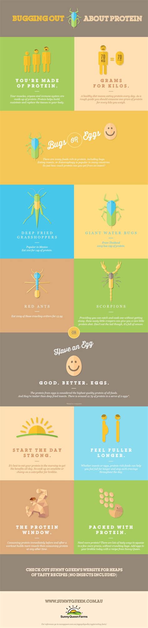 Entomophagy or Eggs? | Visual.ly