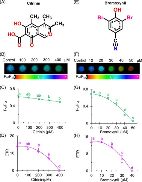 Chemical structures of citrinin (A) and bromoxynil (E) and their... | Download Scientific Diagram