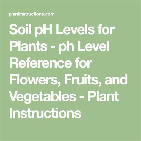 Soil pH Levels for Plants – ph Level Reference for Flowers, Fruits, and Vegetables | Soil ph ...