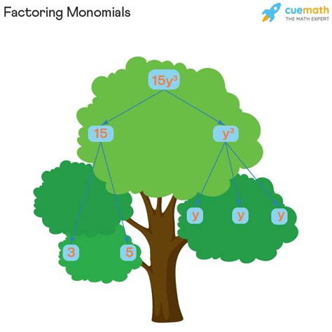 Monomial - Definition, Degree | Monomial Examples