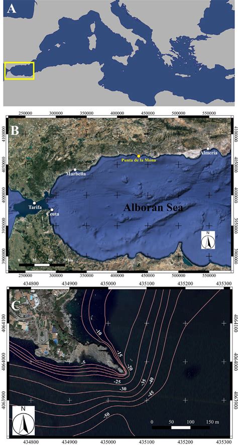 Records of R. okamurae in the Alboran Sea. A) Alboran Sea (Western ...