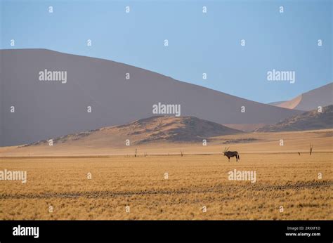 namib desert landscape Stock Photo - Alamy