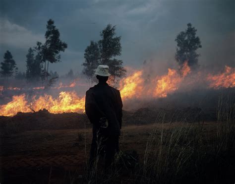 Grass Fire Photograph by Sinclair Stammers/science Photo Library - Fine ...