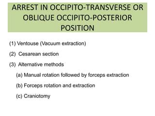 Occipito posterior position | PPT