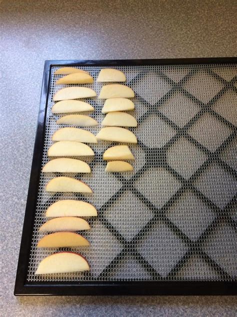 Dehydrating Apple Slices : 3 Steps - Instructables