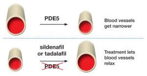 Phosphodiesterase 5 inhibitors | PHA