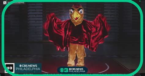 St. Joseph's University unveils updated hawk mascot - CBS Philadelphia