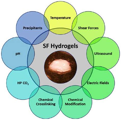 JFB | Free Full-Text | Processing Techniques and Applications of Silk ...