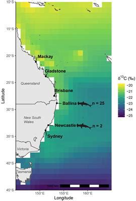 Frontiers | Predicting Geographic Ranges of Marine Animal Populations Using Stable Isotopes: A ...