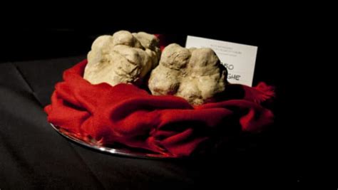 The 10 Most Expensive Truffles in the World (2024) | Wealthy Gorilla