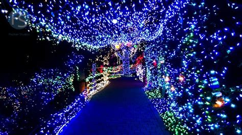 Christmas Lights - Cambria Pines Lodge 2015. Wanitoo.com | Cambria christmas market, Cambria ...