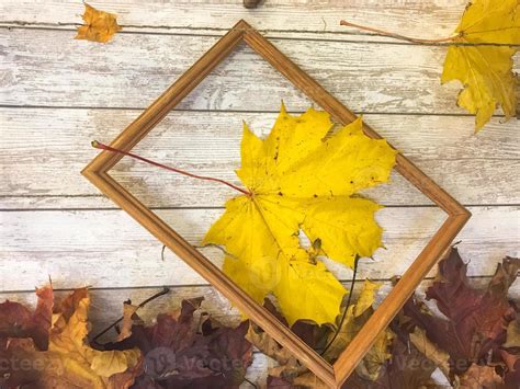 Wooden rectangular picture frame and yellow colorful natural autumn leaves, maple on the ...