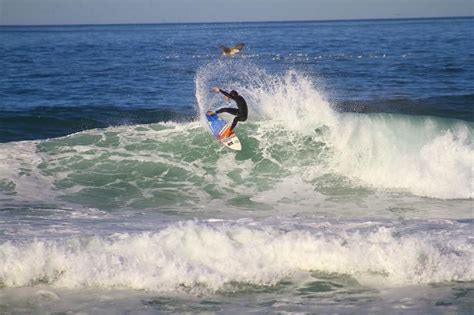 Hermosa Beach, South Los Angeles, Surfing, California | Hermosa beach, Beach, Hermosa