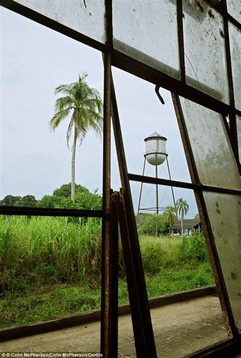 Inside the decaying ruins of Henry Ford's failed rainforest city 'Fordlandia' based on suburban ...