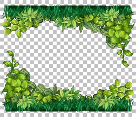 Part Of A Plant Clipart Border