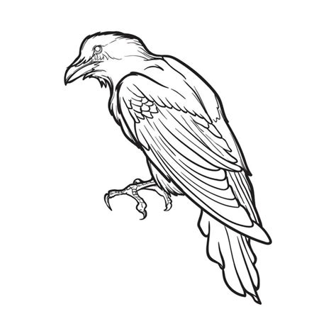 1,003 Raven line art Vector Images, Raven line art Illustrations ...