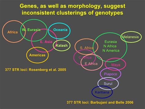 Human genetic diversity. ESHG Barcelona