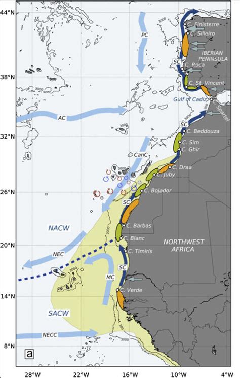 1 Schematic map of the Canary Basin showing the main currents (light ...