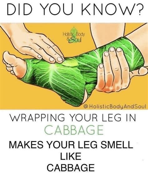 cabbage : r/antimeme