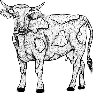 Handdrawn Cow On White Background For Labeling And Printing Vector, Nature, Standing, Fauna PNG ...