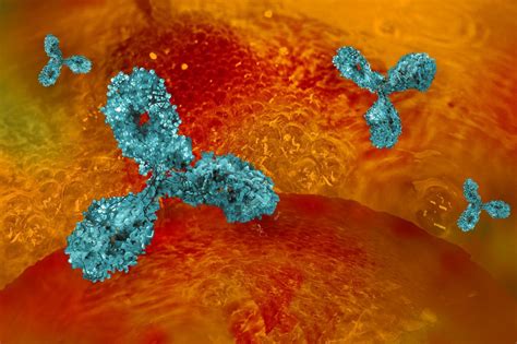 Optimal Time Identified for Monoclonal Antibody Infusions in Patients With COVID-19 - Infectious ...