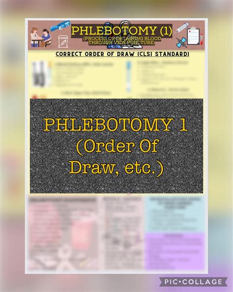 Phlebotomy Order of Draw and Chart Exercise 2 Pages PDF Files - Etsy