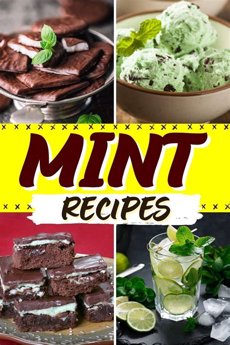 30 Best Mint Recipes To Tingle Your Tastebuds - Insanely Good