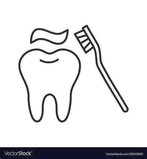 Correct teeth brushing linear icon Royalty Free Vector Image