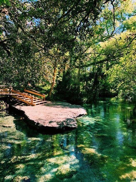 Rock Springs at Kelly Park - Tubing, Kayaking and Camping at Florida's ...