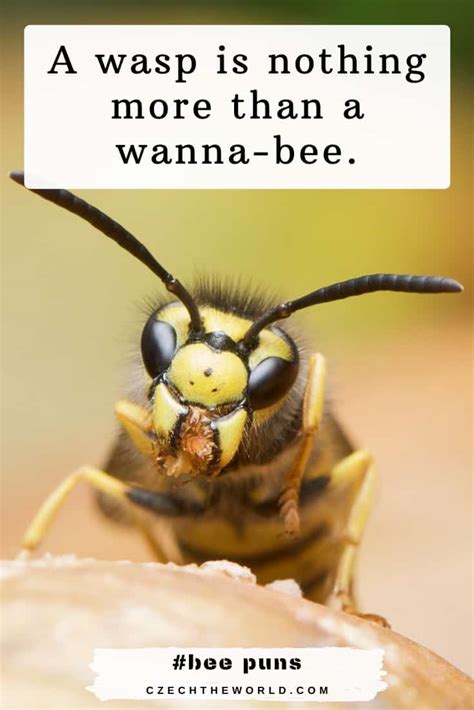 153 Best Bee Puns That Are Un-bee-lievably Bee-autiful!