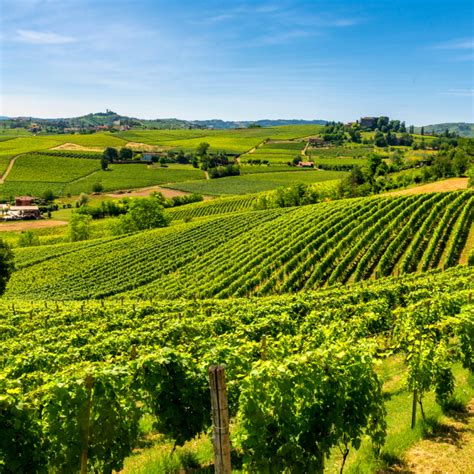 Langhe Wine Region Tour - Barolo Wine Experience - Go Italy Tours