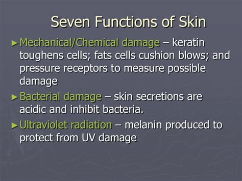 Skin Functions of Skin