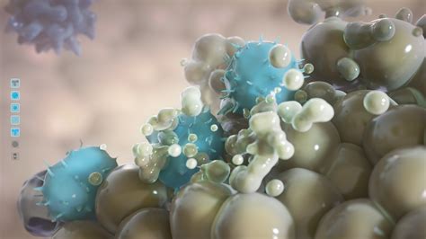 Skin Cancer Animation