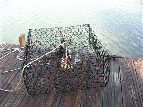 Types Of Blue Crab Traps - Design Talk