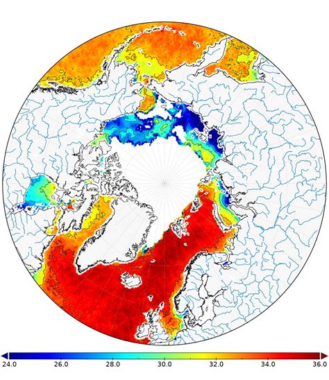 Satellite-derived salinity improves Arctic marine circulation prediction