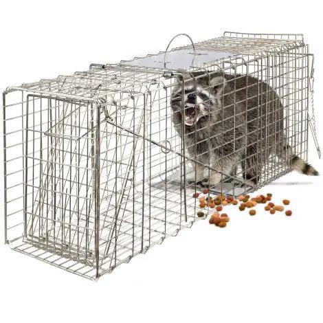 Best Raccoon Traps Reviewed & Rated for Quality - TheGearHunt